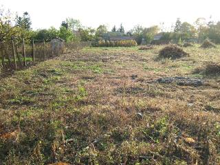 Land in Sokolovo, Balchik