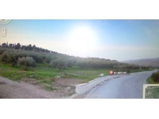 Land Terreno degli Ulivi - property to..