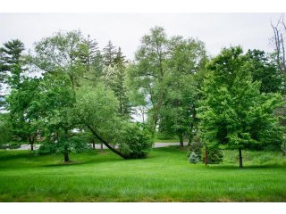 3 bedroom House For Sale: 37 Beechwood..