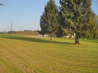 Building Plot Of About 0.5 Acres In The..