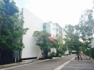 3 Bed Condo For Sale At Ocas Condo -..