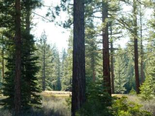 Land For Sale: Truckee, California