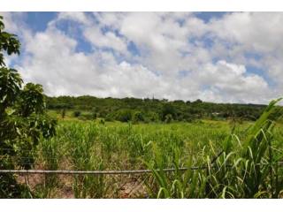 Property For Sale: Blowers Lot 30, St...