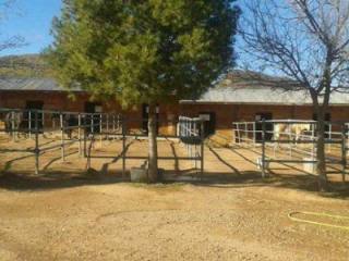 Villa - Horses with Finca accessible..