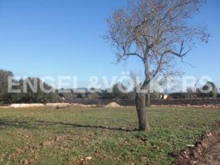 Building project for a country home in..