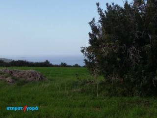 Residential Land in Neo Chorio, Pafos