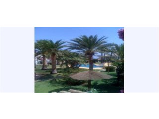 2 Bedrooms - Apartment - Alicante - For..