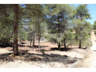 Plot in Javea
