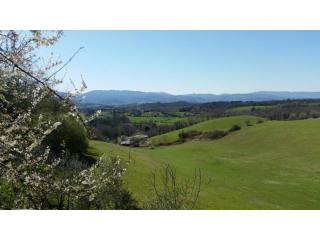 Rustic / Farmhouse / Court for sale in..
