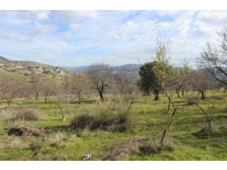 - Land - Paphos - For Sale
