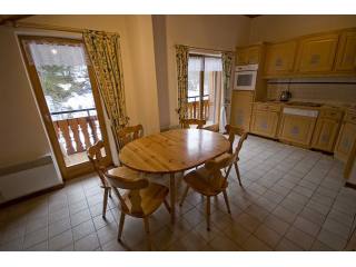 Fabulous apartment next to the slopes..
