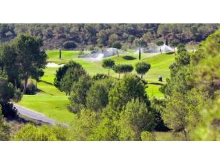 Plots for sale in Campoamor