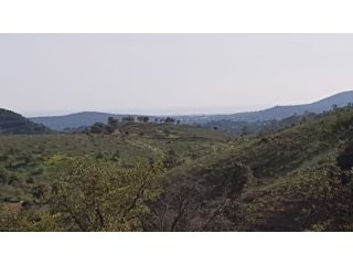 Rustic Plot With Beautifull Sea And..