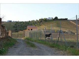 - Land - Malaga - For Sale
