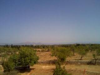 Finca in construction