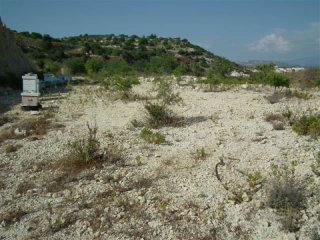 Land - Paphos - For Sale