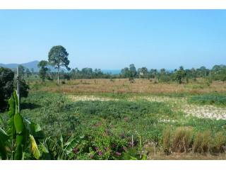 Land - For Sale - Bangsaray - EUR..