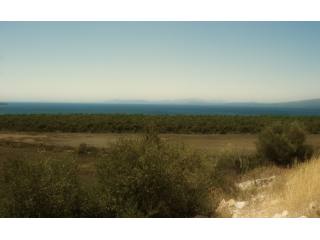 B310 - Land parcel of 1000 sqm in..