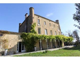 11 bedroom Castle For Sale: 11000..