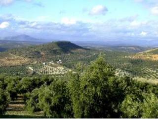 Land, Cuevas Bajas