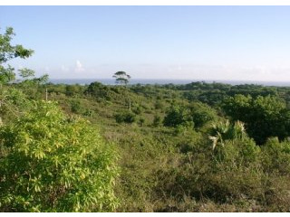 Sosua Ocean View Lot