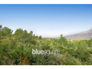 Great Plot for sale in Tarraula
