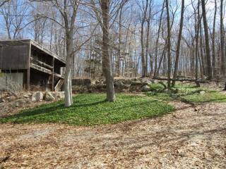 3 bedroom Residence For Sale: Armonk..