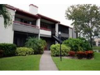 1 Bedroom - Apartment - Florida - For..