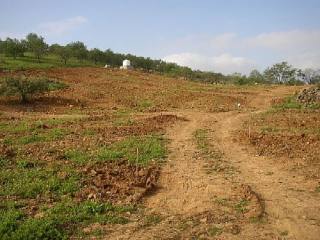 Land - Nice plot of 20,000 m2 of..