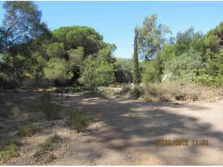 Building Plot for sale in Elviria..
