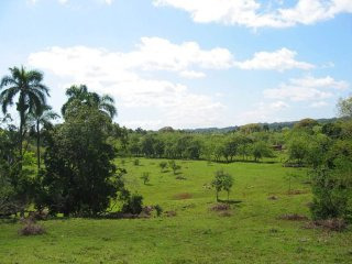 Finca Style Lot For Sale In Cabarete D9