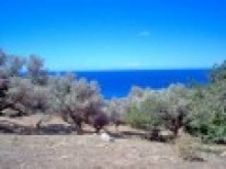 Buy Land In South-Crete