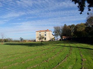 Beautifully Renovated Spacious..