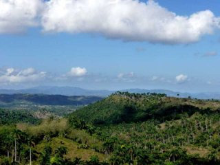 Extensive Section Of Land For Sale..
