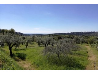 Land Plot With Possibility to Build -..