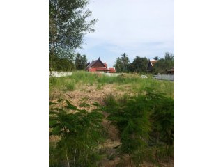 1 Rai Flat Land in Rawai