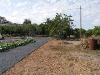 Plot in Javea