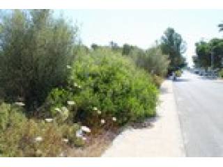 - Land - For Sale