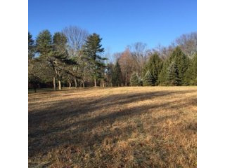 Land For Sale: 61 Village Rd