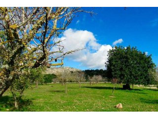 Wonderful and quiet plot with nice view..