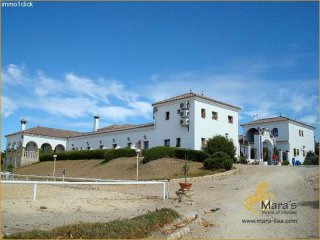 Arcos de la Frontera: Equestrian hotel..