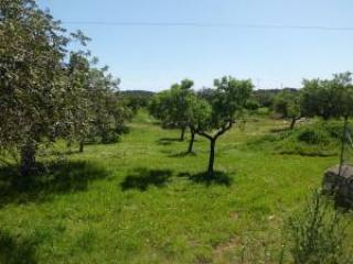 Mallorca, Artà, finca plot with licence..