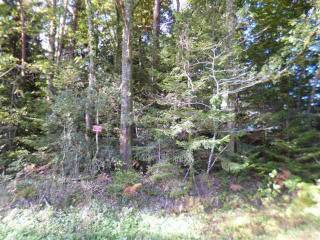 Average Price For 1 Hectare Wood Land -..