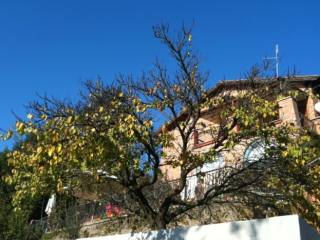 CAMILLUCCIA, INDEPENDENT COTTAGE