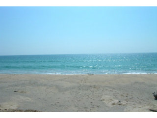 19 Rai of Pristine Oceanfront Land on..