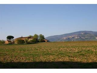 Country House For Sale: Cortona