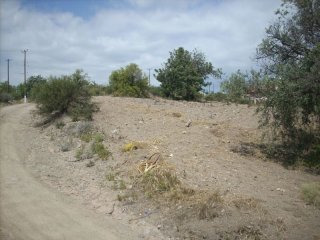 Large Residential Plot in Asgata