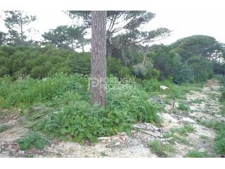 Fantastic plot with about 1900m2 in..