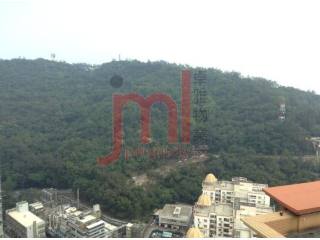 Manhattan Penthouse Unit, Central Taipa