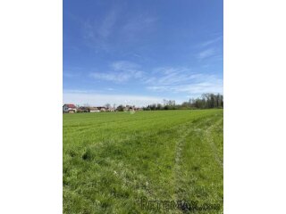 PREKRASNO GRAĐEVINSKO ZEMLJIŠTE- POVOLJNO